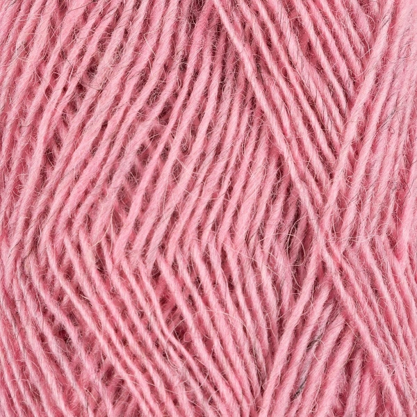 Fjallalopi rosa 3071