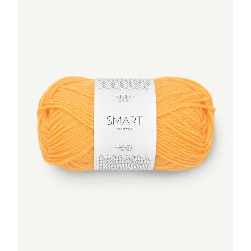2206 Smart Gul