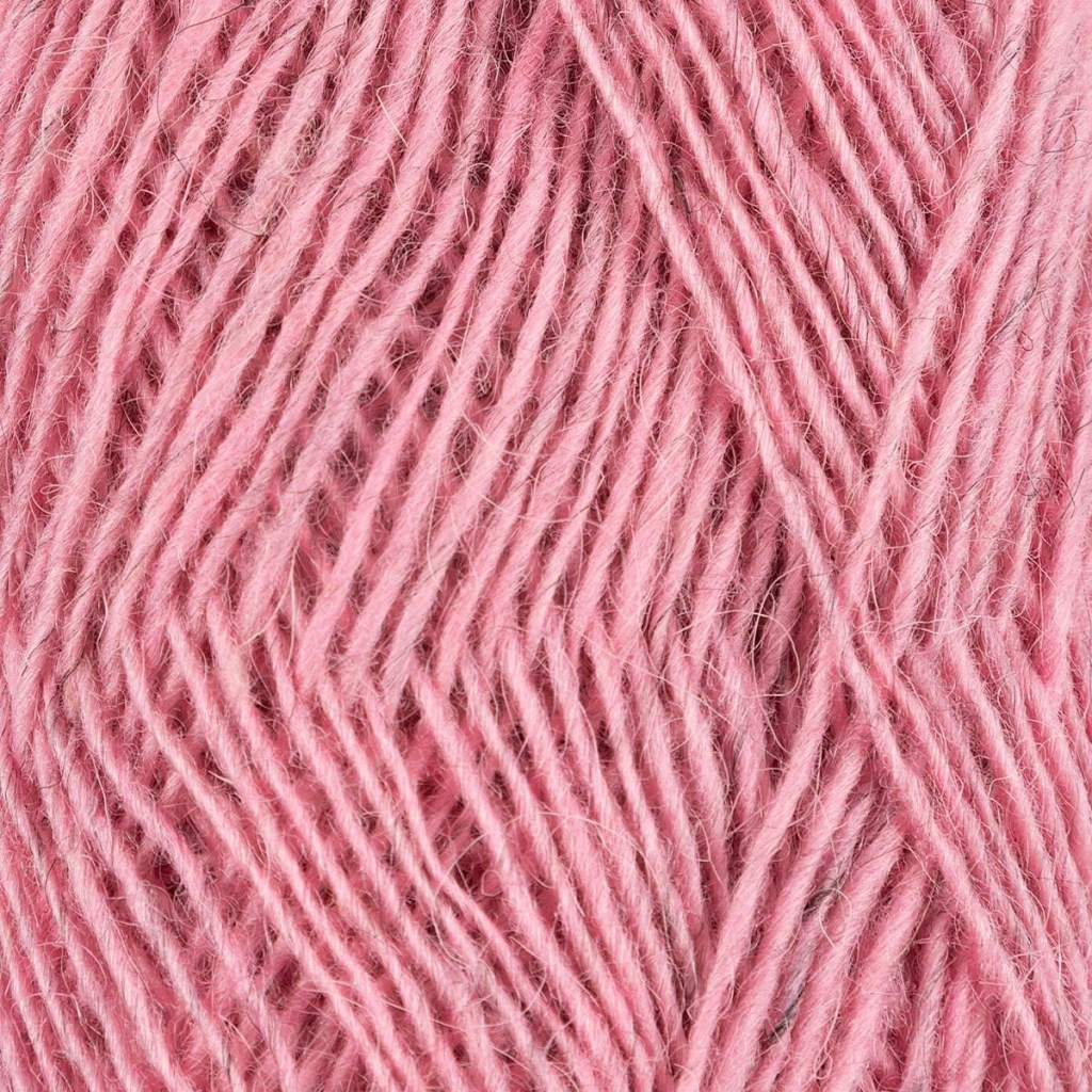 Fjallalopi rosa 3071