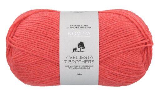 7 VELJESTÄ 290 Mandarine