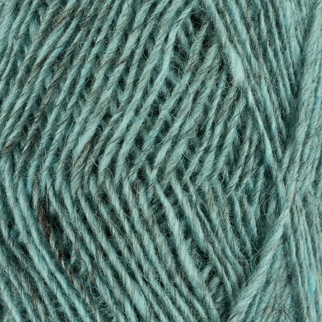 Fjallalopi turkis 3024