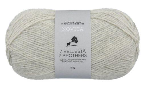 7 VELJESTÄ 047 Lichen