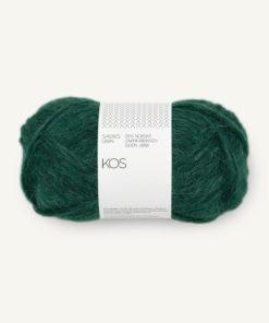 7772 KOS Rain forest