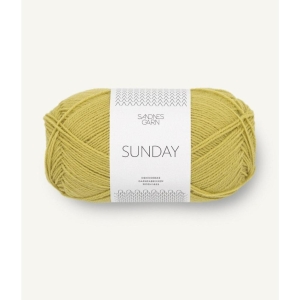 9825 Sunday Sunny Lime