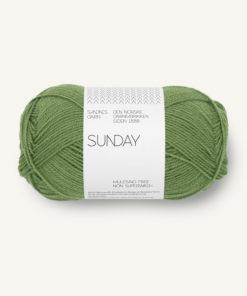 8753 Sunday Vineyard green 3x2/28