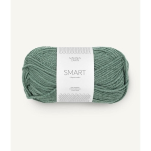 8051 Smart Eukalyptus