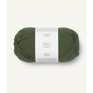 9573 Sisu Mosegrønn