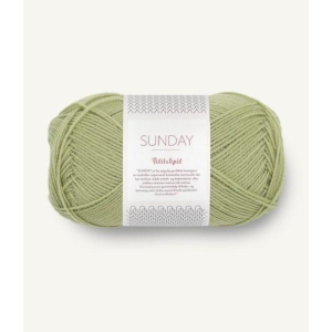 9533 PK Sunday Green Tea