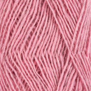 Fjallalopi rosa 3071