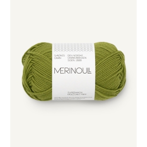 9564 Merinoull Matcha Nm 25/2x6