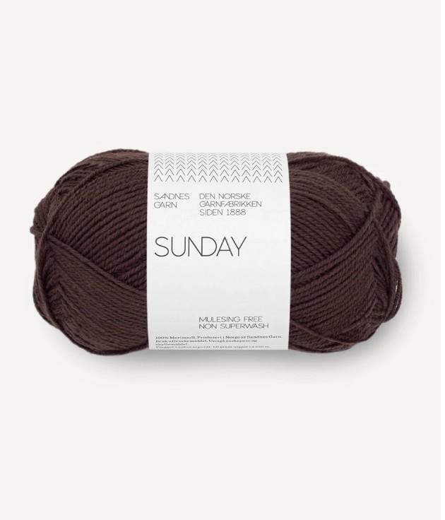 3591 Chocolate Plum SUNDAY