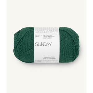 7772 Sunday Rain forest Nm 3x2/28