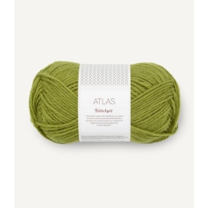 PetiteKnit Atlas Atlas Matcha 9564