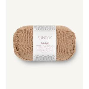 2542 PK Sunday Camel