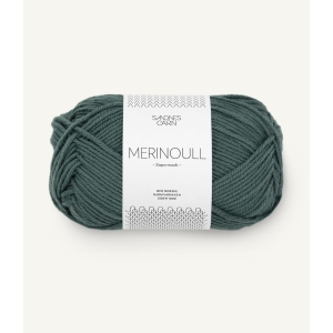7572 Merinoull Petrolium